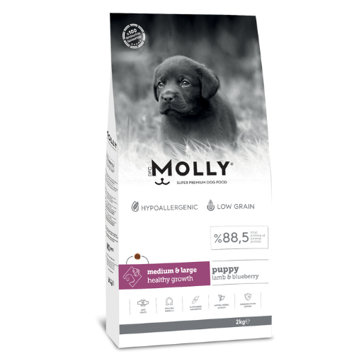 MOLLY YAVRU KUZULUYABANMERSİNLİ KÖPEK MAMASI 2KG